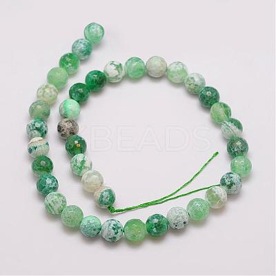 Natural Fire Crackle Agate Bead Strands G-G882-10mm-B01-1
