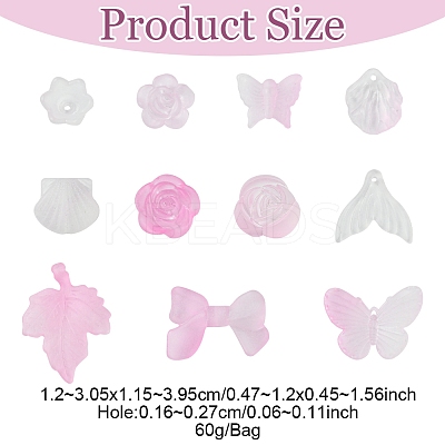 60G Transparent Acrylic Beads OACR-FS0001-90A-1