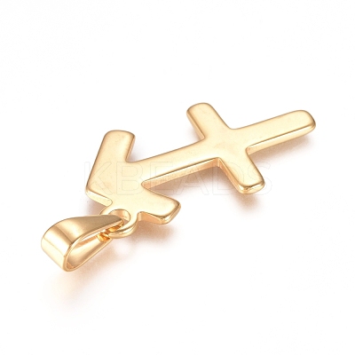 304 Stainless Steel Pendants STAS-L210-06J-G-01-1