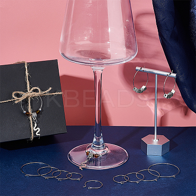 316 Surgical Stainless Steel Hoop Earrings Findings STAS-UN0002-79P-1