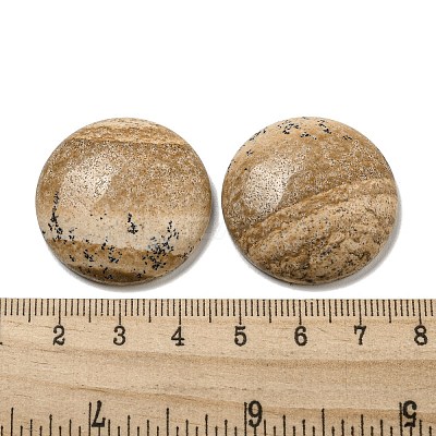 Natural Picture Jasper Cabochons G-C115-02B-22-1