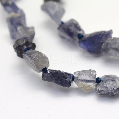 Rough Raw Natural Kyanite/Cyanite/Disthene Beads Strands G-K202-15-1