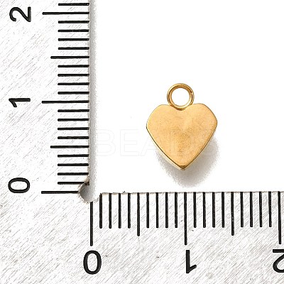 304 Stainless Steel Pave Cubic Zirconia Charms LS-STAS-D310-07G-01-1