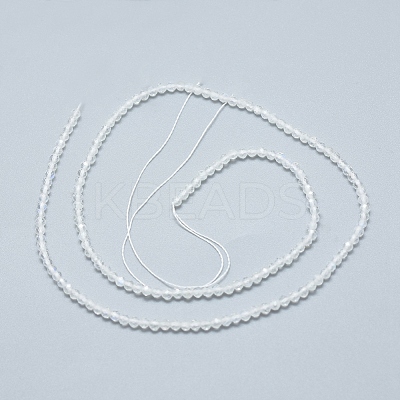 Natural Rainbow Moonstone Beads Strands G-D0003-E91-3MM-1