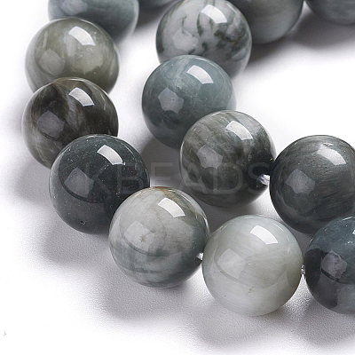 Natural Eagle Eye Beads Strands G-I281-02-4mm-1