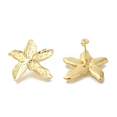 Rack Plating Starfish Brass Stud Earrings EJEW-H016-28G-1
