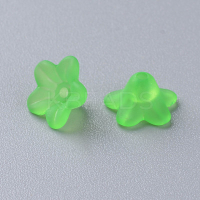 Transparent Acrylic Beads PL554-13-1