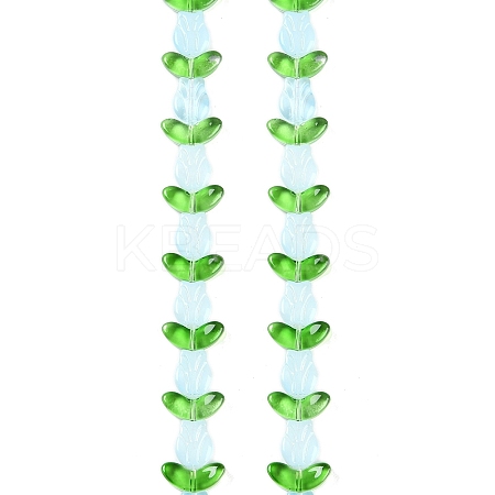Transparent Glass Bead Strands GLAA-K070-02G-1