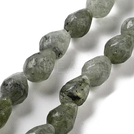 Natural Labradorite Beads Strands G-P520-B05-01-1