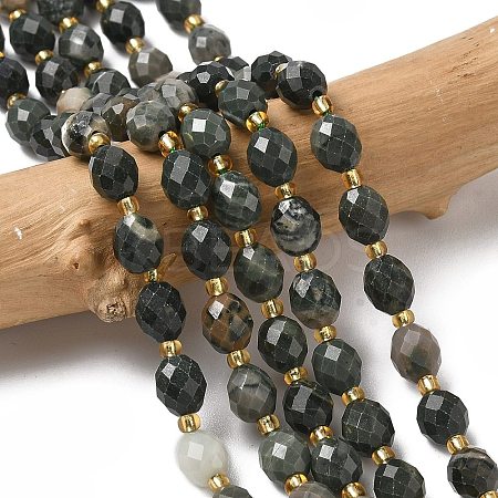 Natural Green Wood Lace Stone Wooden Jasper Beads Strands G-F809-A30-01-1