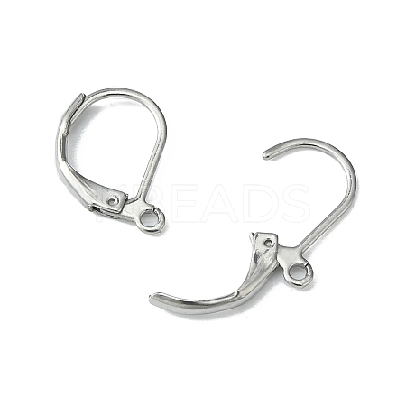 Tarnish Resistant 304 Stainless Steel Leverback Earring Findings LS-STAS-S028-07-1