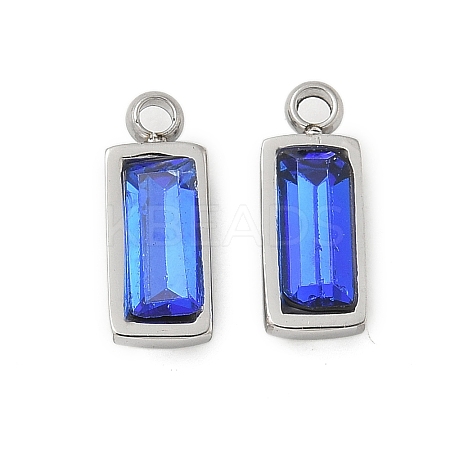 304 Stainless Steel Charm STAS-L022-242P-08-1