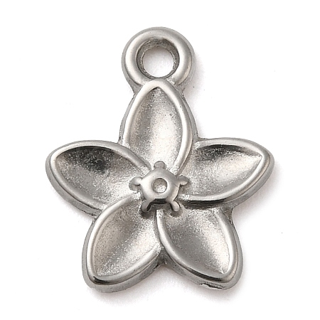 304 Stainless Steel Pendants STAS-M070-05P-1