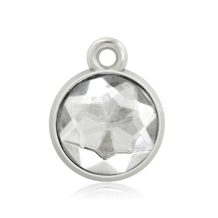 Platinum Plated Alloy Glass Rhinestone Charms PALLOY-TAC0016-D04-P-1