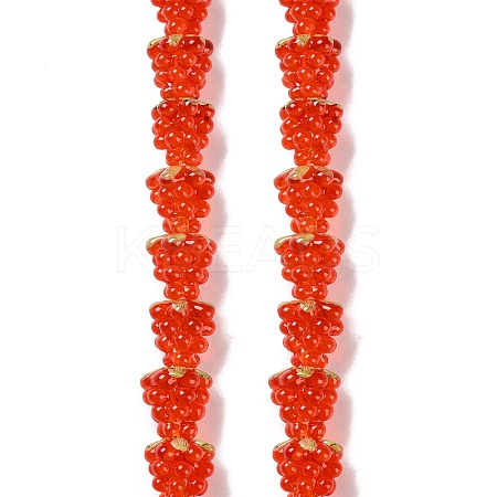 Handmade Lampwork Beads Strands LAMP-Q036-05B-1