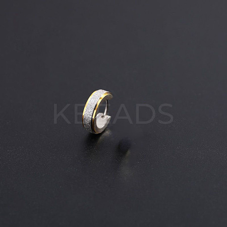 201 Stainless Steel Hoop Earrings for Men's FS-WG79C69-04-1