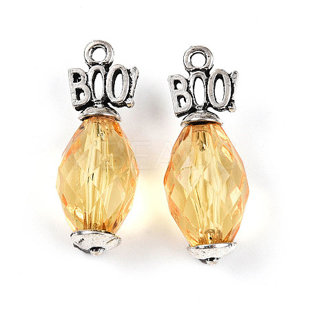 Transparent Acrylic Pendants SACR-N013-010A-RS-1