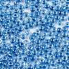 8/0 Glass Seed Beads SEED-A015-3mm-2216-2
