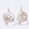 Glass Pendants X-GLAA-Q070-002B-04-2