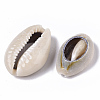 Natural Cowrie Shell Beads SSHEL-N034-33-3
