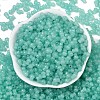 Transparent Colours Glass Seed Beads SEED-R001-01Q-3
