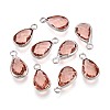 K9 Glass Charms GLAA-ZX008-12B-1