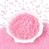 FGB Frosted Transparent Glass Seed Beads SEED-N013-04A-05-2
