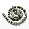 Natural African Turquoise(Jasper) Beads Strands G-D840-15-10mm-2