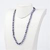 Natural Blue Spot Jasper Necklaces NJEW-D264-14-3