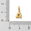 316L Surgical Stainless Steel Charms STAS-G315-01G-A-3