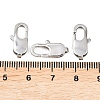 Tarnish Resistant 304 Stainless Steel Lobster Claw Clasps STAS-N078-12C-4