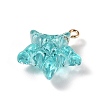 Transparent Resin Pendants LS-RESI-Z016-02F-LG-2
