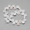 Natural Rose Quartz Gemstone Beads Strands X-G-T005-18-2