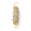 Natural Labradorite Connector Charms PALLOY-JF01580-01-2