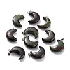 Natural Dragon Blood Pendants G-Z022-02I-1