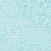 Baking Paint Glass Seed Beads SEED-L011-09A-08-3
