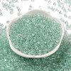 Glass Seed Beads SEED-L011-05B-14-2