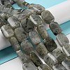 Natural Labradorite Beads Strands G-M420-M02-02-2