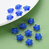 Transparent Acrylic Beads MACR-S373-26E-03-6