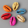 Natural Cowrie Shell Beads SSHEL-N0232-08-2