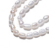Natural Cultured Freshwater Pearl Beads Strands PEAR-N012-02I-4