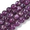 Natural Lepidolite/Purple Mica Stone Beads Strands G-C270-O05-14-2