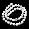 Natural Howlite Beads Strands G-Z119-A43-02-4