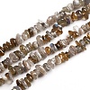 Natural Labradorite Chips Beads Strands G-D0002-A06-1