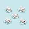 304 Stainless Steel Charms STAS-H413-13S-2