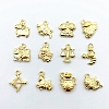Alloy Pendants PALLOY-TAC0013-15G-RS-1