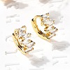 Brass Hoop Earrings EJEW-S256-03B-G-1