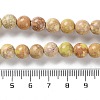 Dyed Natural Regalite/Imperial Jasper/Sea Sediment Jasper Beads Strands G-B124-C01-08-5