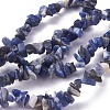 Natural Sodalite Beads Strands G-G782-31-1