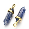 Natural Blue Spot Jasper Double Terminated Pointed Pendants G-G902-B04-2